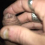 20160601_232819000_iOS